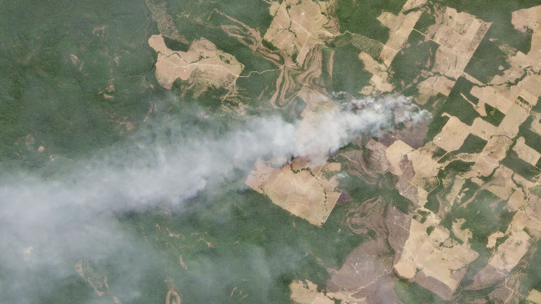 Brazil Amazon Fires